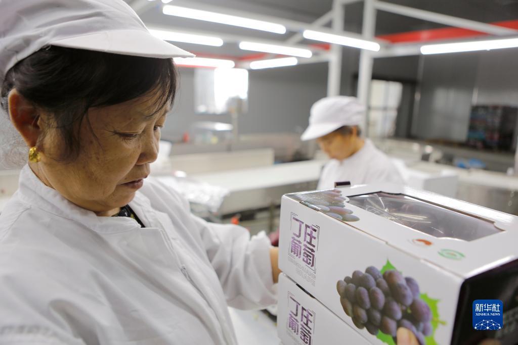 金博集团啥时返现